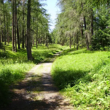 Haus Monika Appartamento