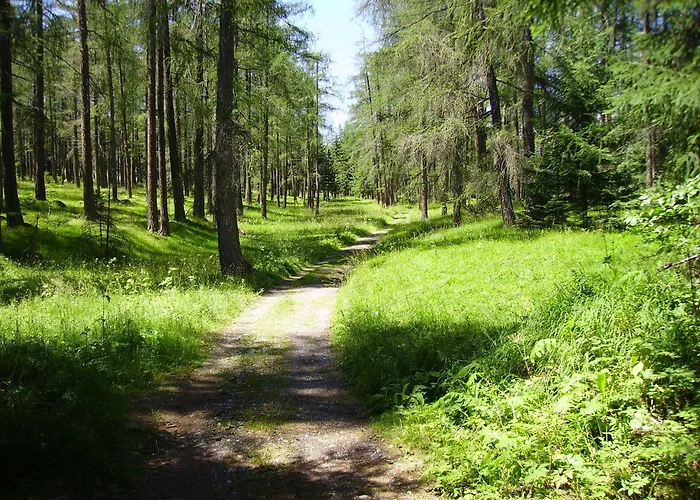 Haus Monika 아파트