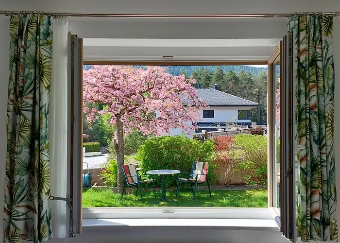 Haus Monika 公寓 *